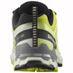 Salomon XA PRO 3D V9 Lima, baskets