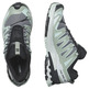 Chaussures Salomon XA PRO 3D V9 W Gris/Turquoise
