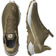 Chaussures Salomon Alphacross 3 GTX Marron / Beige