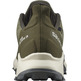 Chaussures Salomon Alphacross 3 GTX Vert