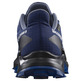 Chaussures Salomon Alphacross 5 GTX bleu