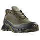 Chaussures Salomon Alphacross 5 GTX vert olive