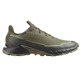 Chaussures Salomon Alphacross 5 GTX vert olive