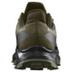 Chaussures Salomon Alphacross 5 GTX vert olive