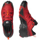 Chaussures Salomon Cross Hike GTX rouge