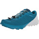 Zapatillas Salomon Sens 4/Pro Bleu