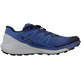 Chaussures Salomon Sense Ride 4 Bleu