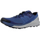 Chaussures Salomon Sense Ride 4 Bleu