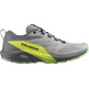 Chaussures Salomon Sense Ride 5 Gris/Lime