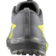 Chaussures Salomon Sense Ride 5 Gris/Lime
