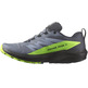 Chaussures Salomon Sense Ride 5 GTX Gris/Vert/Noir