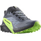 Chaussures Salomon Sense Ride 5 GTX Gris/Vert/Noir