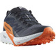 Chaussures Salomon Sense Ride 5 GTX Marine/Orange