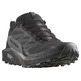 Chaussures Salomon Sense Ride 5 GTX noir