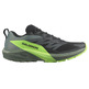 Chaussures Salomon Sense Ride 5 Nonir/Vert