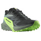 Chaussures Salomon Sense Ride 5 Nonir/Vert