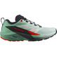 Chaussures Salomon Sense Ride W Vert