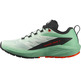 Chaussures Salomon Sense Ride W Vert