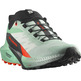 Chaussures Salomon Sense Ride W Vert