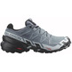 Chaussures Salomon Speedcross 6 GTX W Gris