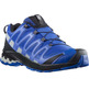 Chaussures Salomon XA PRO 3D V8 GTX Bleu / Gris