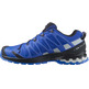 Chaussures Salomon XA PRO 3D V8 GTX Bleu / Gris