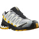 Chaussures Salomon XA PRO 3D V8 GTX Gris/Moutarde
