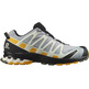 Chaussures Salomon XA PRO 3D V8 GTX Gris/Moutarde
