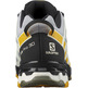 Chaussures Salomon XA PRO 3D V8 GTX Gris/Moutarde