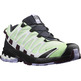 Chaussures Salomon XA PRO 3D V8 GTX W Vert/Violet