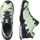 Chaussures Salomon XA PRO 3D V8 GTX W Vert/Violet