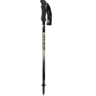 Fizan Compact 158 grammes 