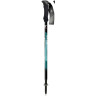 Fizan Compact 158 grammes 