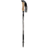 Fizan Compact 158 grammes 