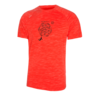 Anneaux Trangoworld 230 