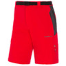 Trangoworld court Koal DN 810 