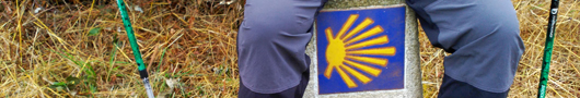 Tuiles du Camino de Santiago